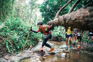 BIB: 
                            <button type="button" onclick="openModal(25375582)" class="btn btn-primary btn-sm float-right btn-popup" data-toggle="modal" data-target=".modal-high-quality">
                        <i class="fas fa-shopping-cart"></i> Add to Cart
                    </button>
                                            <button type="button" onclick="isThisMe(25375582, true)" class="btn btn-success btn-sm float-right btn-popup btn-isme hidden" data-toggle="tooltip" data-placement="bottom" title="นี่คือรูปของคุณใช่ไหม คลิกที่นี่เพื่อเอาเข้าอัลบั้ม">
                        <i class="fas fa-plus"></i> Add to album
                    </button>
                    <button type="button" onclick="isThisMe(25375582, false)" class="btn btn-warning btn-sm float-right btn-popup btn-isnotme hidden">
                        <i class="fas fa-ban"></i> Remove from album
                    </button>